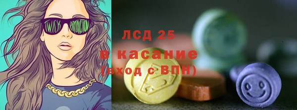 гашик Аркадак