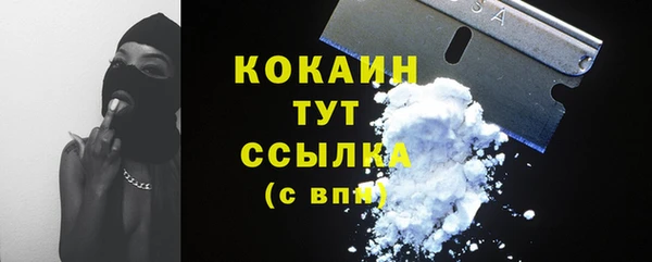 гашик Аркадак