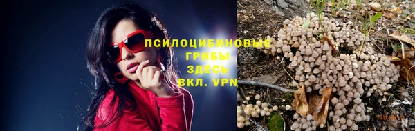 гашик Аркадак