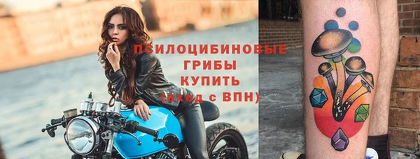 гашик Аркадак